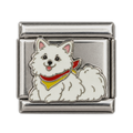 A white dog wearing a colourful bandana on a silver-tone link.