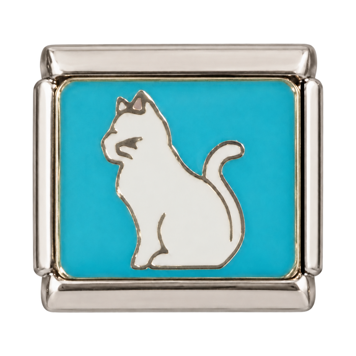 A seated white cat against a turquoise-blue background.