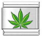 Green leaf