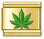Green leaf